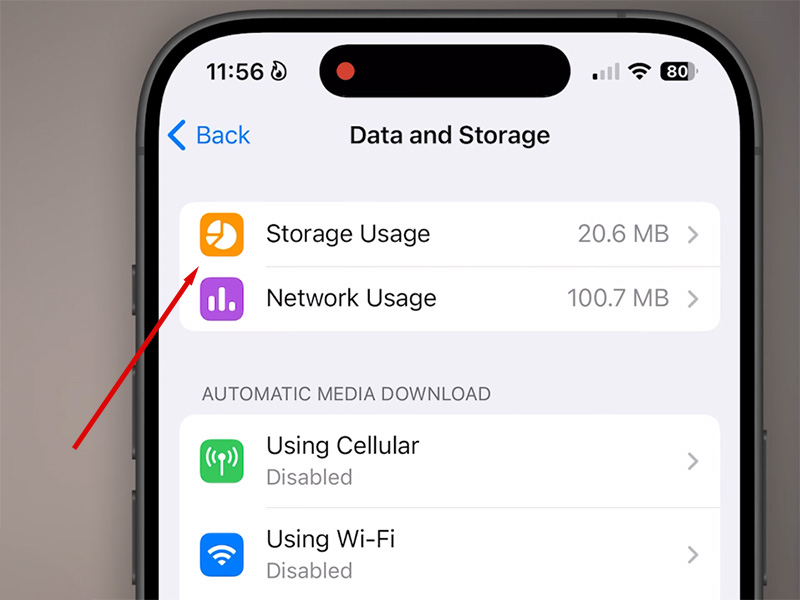 Adjust Telegram Fast Download Settings
