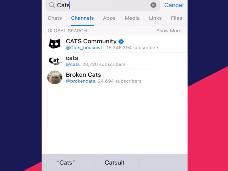 How to Search Channels on Telegram?