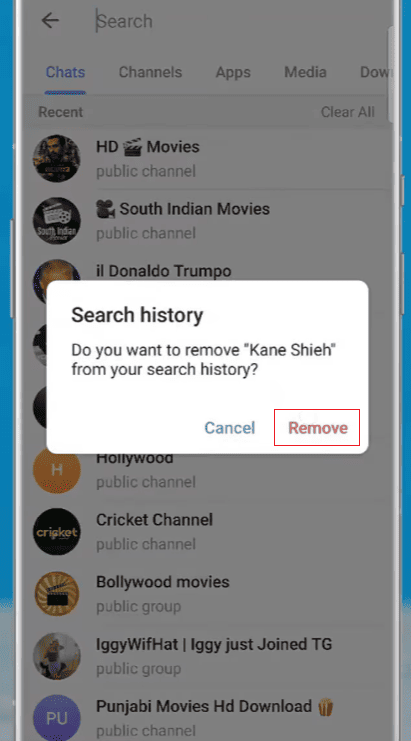 Can Someone See If You Search for Them on Telegram?